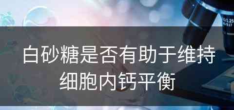 白砂糖是否有助于维持细胞内钙平衡